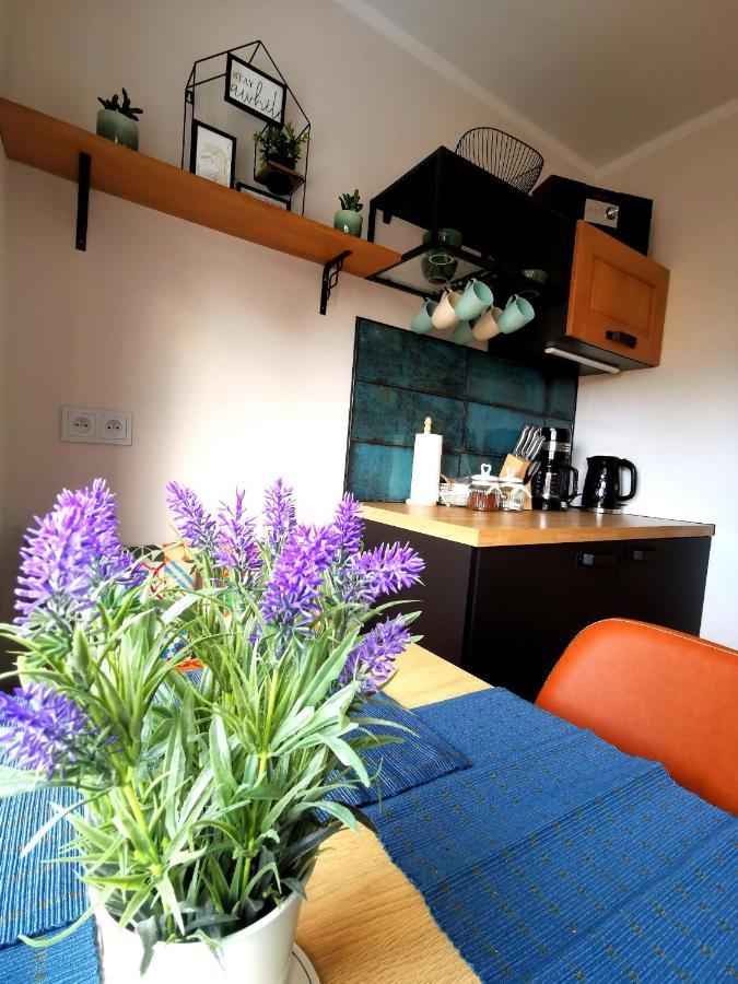 Apartament Na Wzgorzu Jelenia Góra Εξωτερικό φωτογραφία